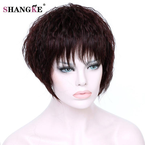 SHANGKE Short Brown Kinky Curly Hair Wigs Wome Natural Fake Hair Heat Resistant Synthetic African American Wigs For  Women